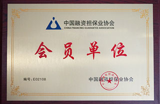 中國(guó)融資擔(dān)保業(yè)協(xié)會(huì)會(huì)員單位